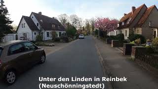 2023 05 01 Unter den Linden in Reinbek (Neuschönningstedt)