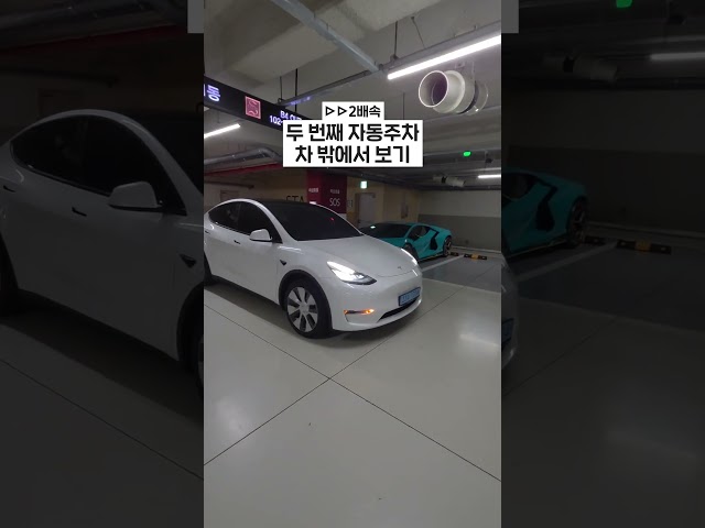 6년 된 미국산 모델Y 썩차로 10억 람보 옆 자동주차… 박으면 인생 끝