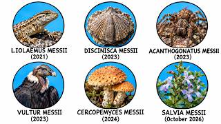 6 Creatures Named in Honor of Lionel Messi