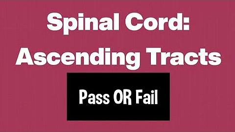 Ascending tracts of Spinal cord|Easy mnemonic|Memorise within seconds👍🏻