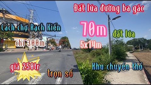 Đất Cần Giuộc Giá Rẻ| Chỉ 250 triệu ôm trọn sổ về nhà,rẻ gì mà rẻ không tưởng.