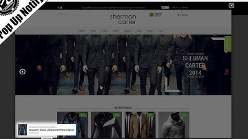 Pop Up Notifications on your Shopify Store - Crushing E-Commerce - Lesson 30