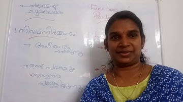 CNNBHS, SS, Our Government, Part 6