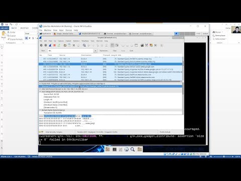 4.6.2.7 Lab - Using Wireshark to Examine a UDP DNS Capture