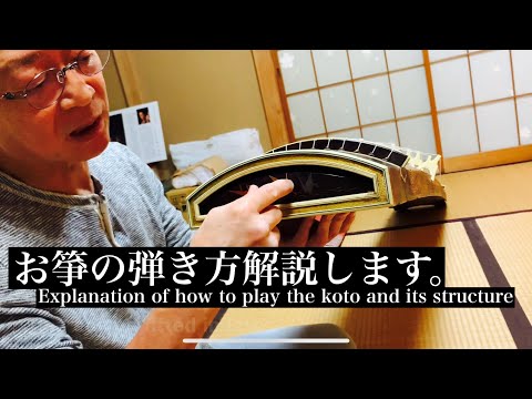 お琴 お筝 琴