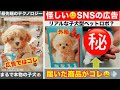 【怪しいSNS広告商品買ってみた】届いた商品で大爆笑ｗ！リアルな子犬型ペットロボ？まるで本物？届くのはコレです