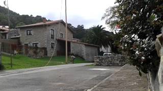 Pechon. Tirando el palu 2012