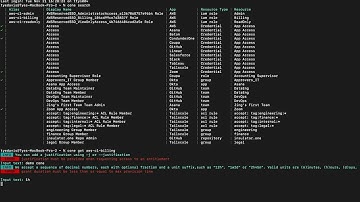Using the ConductorOne CLI [CONE]