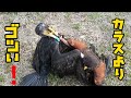 カラスより大きいモノを掴んだ。