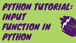 Python Tutorial: How to use Input Function in Python