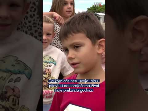 U more vraćene četiri glavate želve