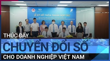 Thúc đẩy chuyển đổi số cho doanh nghiệp Việt Nam | VTC Tin mới