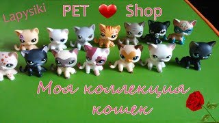 Lps: Моя Коллекция Lps Кошек / Littlest Pet Shop