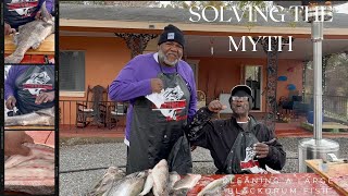 SOLVING THE MYTH OF A LARGE BLACKDRUM FISH #fypyoutube #fishing #blackdrum #explorepage