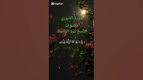 سورة الشوري - تلاوة هادئة😔 بصوت الشيخ عبد الباسط - القرآن الكريم 🤍