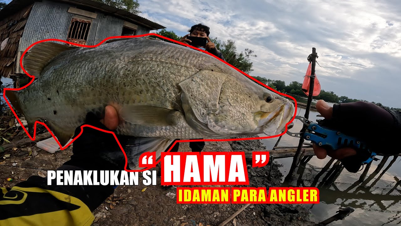 BASS Fishing Episode ” Berburu SI Penari Handal “