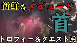 [Dragon's Dogma 2] Spoiler Alert! How to Get a Fresh Medusa Head [Using Magic Archer and Arisen /...