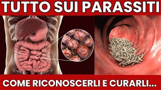Parassiti Nellorganismo Come Riconoscerli E Curarli