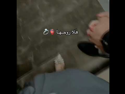 ستوريات انستا ترند حمزه المحمداوي هلا روحه ال حمزه هلااا حالات واتس آب حب