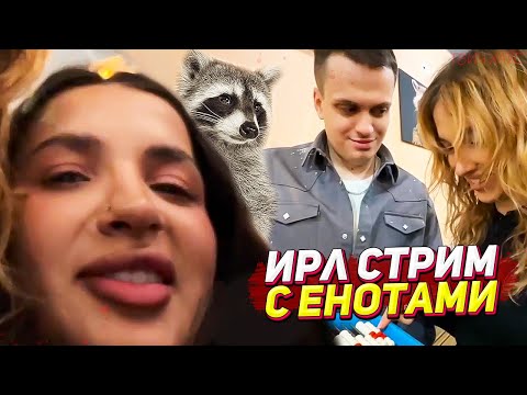 ГЕНСУХА, ТЕНДЕРЛИБАЕ И БУСТЕР С ЕНОТАМИ / ПОЛНЫЙ ИРЛ СТРИМ