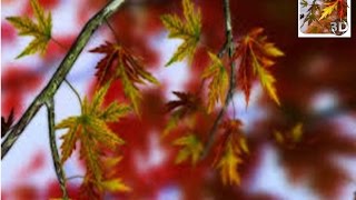 Autumn Leaves in HD Gyro 3D  ---ANDROID APPLICATION ---WALLPAPER screenshot 4