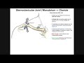 The Sternoclavicular (SC) Joint | Anatomy and Function