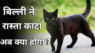 बिल्ली का रास्ता काटना अशुभ अंधविश्वास या सच ? Logic Behind Indian Superstitions and their Beliefs
