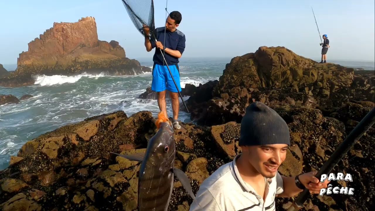 جمعت فواكه البحر و طيبت بهم الحريرة . شاطئ الگزيرة سيدي افني.