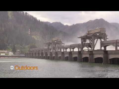 Video: Hvor mange dæmninger er der ved Columbia-floden i Washington?