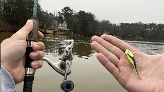 Secrets of the Small Fry: The Tiniest Chatter Bait