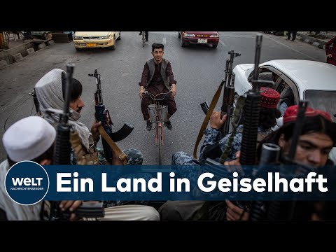 Video: Hundeliebhaber Aus Bangladesch Protestieren Gegen Brutales Keulen