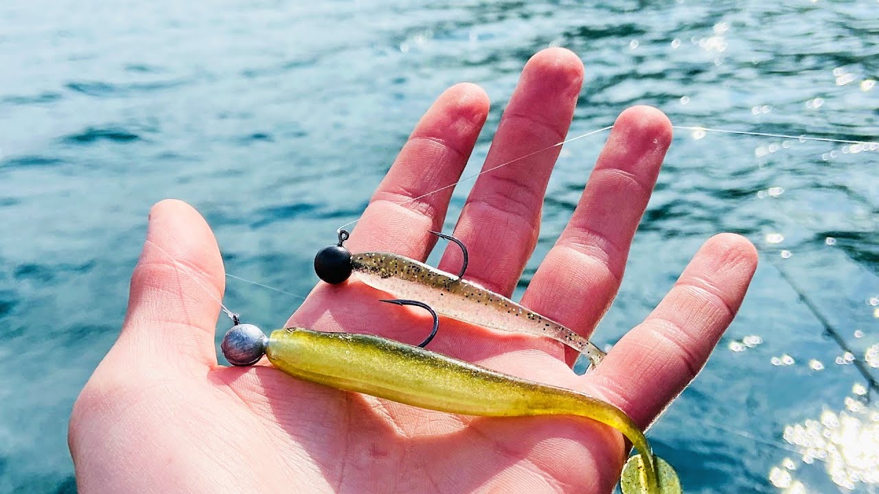 Finesse Swimbait Bass Fishing (Which Ones Better 3in or 4in?)