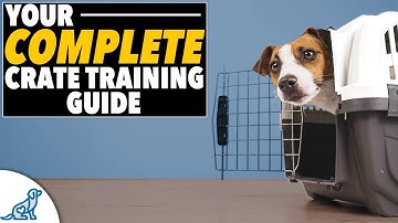 "EVERYTHING You Need To Know" Crate Training Plan