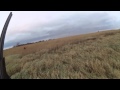 Rooster Road Trip 2014 Minnesota Recap Rooster Road Trip 2014 Minnesota Recap