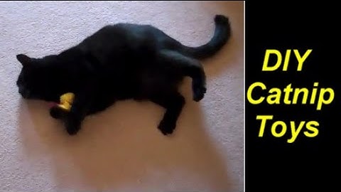 How to Make a Catnip Toy