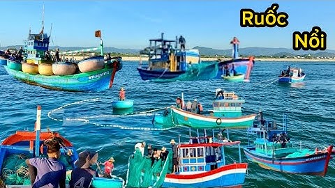Nghề Đánh Lưới Ruốc | Nghe Tin Ruốc Nổi Ngư Dân Lấy Ghe Đi Tìm Ruốc Đánh | Cảnh 86