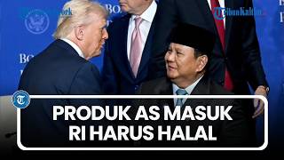 Download Lagu Seskab Teddy Pastikan Produk AS yang Masuk ke RI Harus Bersertifikat Halal MP3