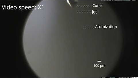 Researchers pioneer technique to self-assemble high-performance biomolecular films