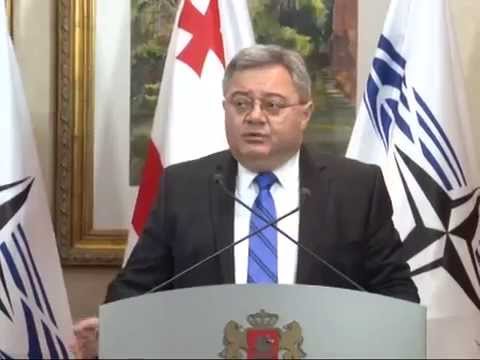 დავით უსუფაშვილისა და ნატოს საპარლამენტო ასამბლეის პრეზიდენტის ერთობლივი ბრიფინგი