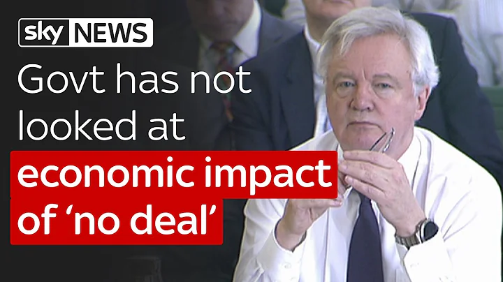 UK Govt has not looked at economic impact of 'no deal' on Brexit