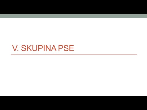 2. letnik (06) 5. skupina PSE