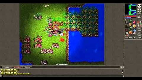 Tibia Botter Busting 1