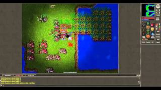 Celebrity Tibia Botter Busting 1 Wealth