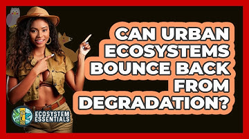 Can Urban Ecosystems Bounce Back From Degradation? - Ecosystem Essentials