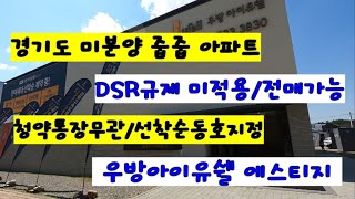 경기도미분양아파트 안성우방아이유쉘에스티지 DSR규제미적…