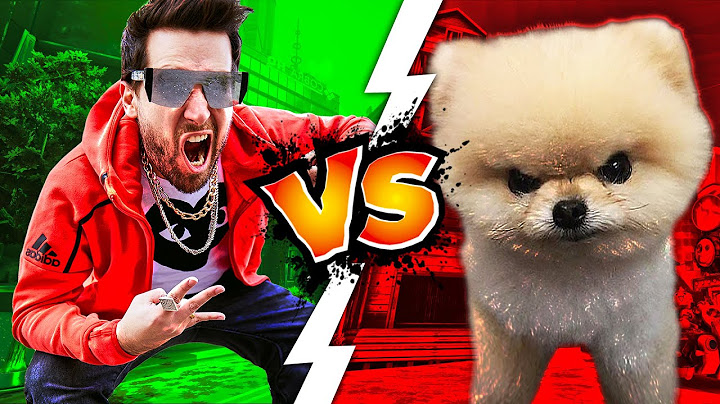 Legviccesebb NESSAJ vs SEREENIT jelenetek! 😂