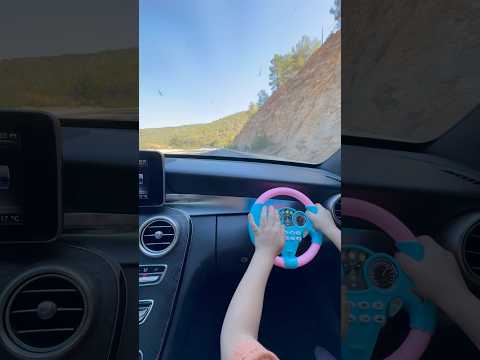 New Toys Steering