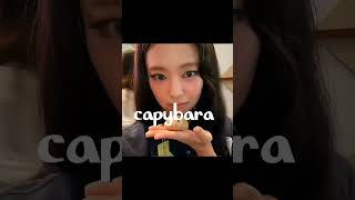 Capybara Edit Specially For I M A Big Fan Of Her