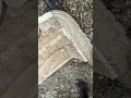 Takewood Bed Takewood Design#ytshorts#shorts#TakewoodBed #WoodenBedDesign#WoodArtDesign