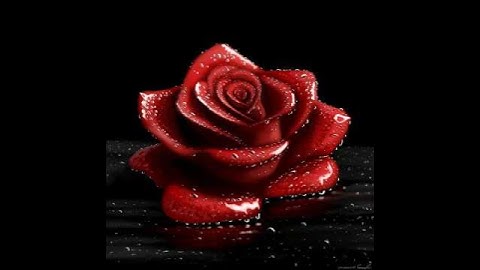 Drawing a Red Rose on Procreate #art #digitalart #procreate #rose